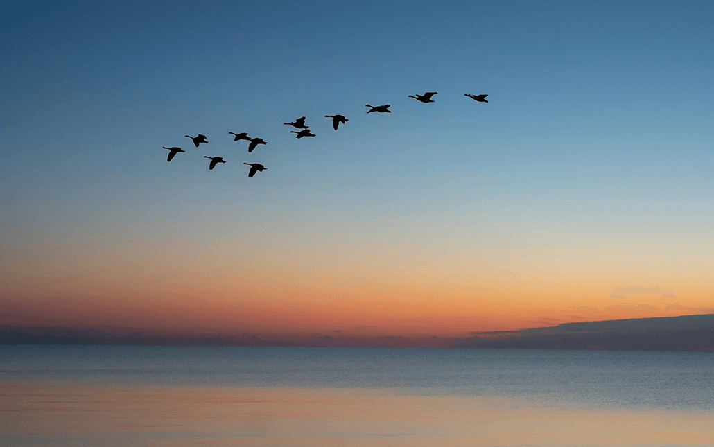 WordPress to Next.js Migration Checklist for Content, Preview and SEO.