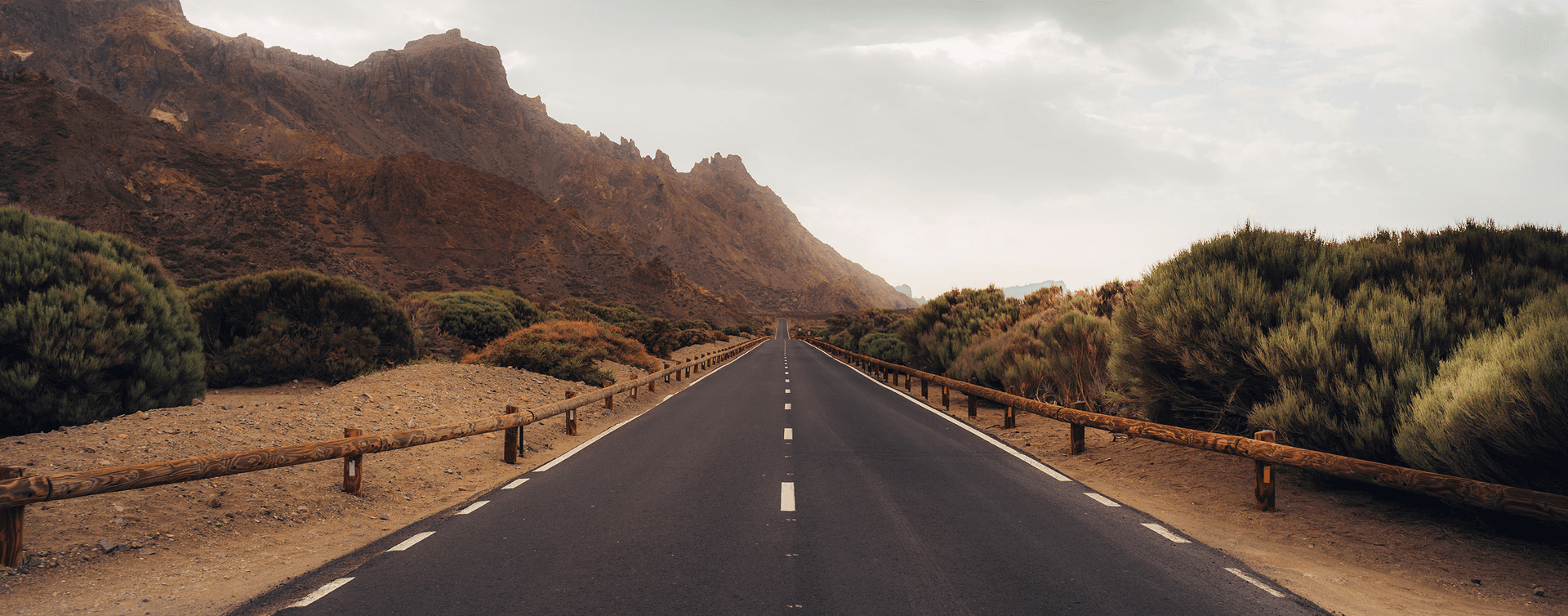 Abstract image used to represent WordPress to Next.js Traffic Drop Recovery