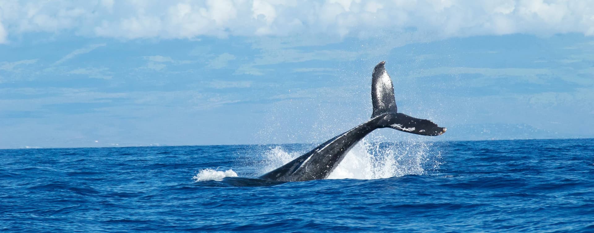 Abstract image used to represent Understanding Tail Call Optimisation in JavaScript