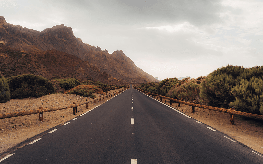 Traffic Dropped After a WordPress to Next.js Migration: What to Check First.