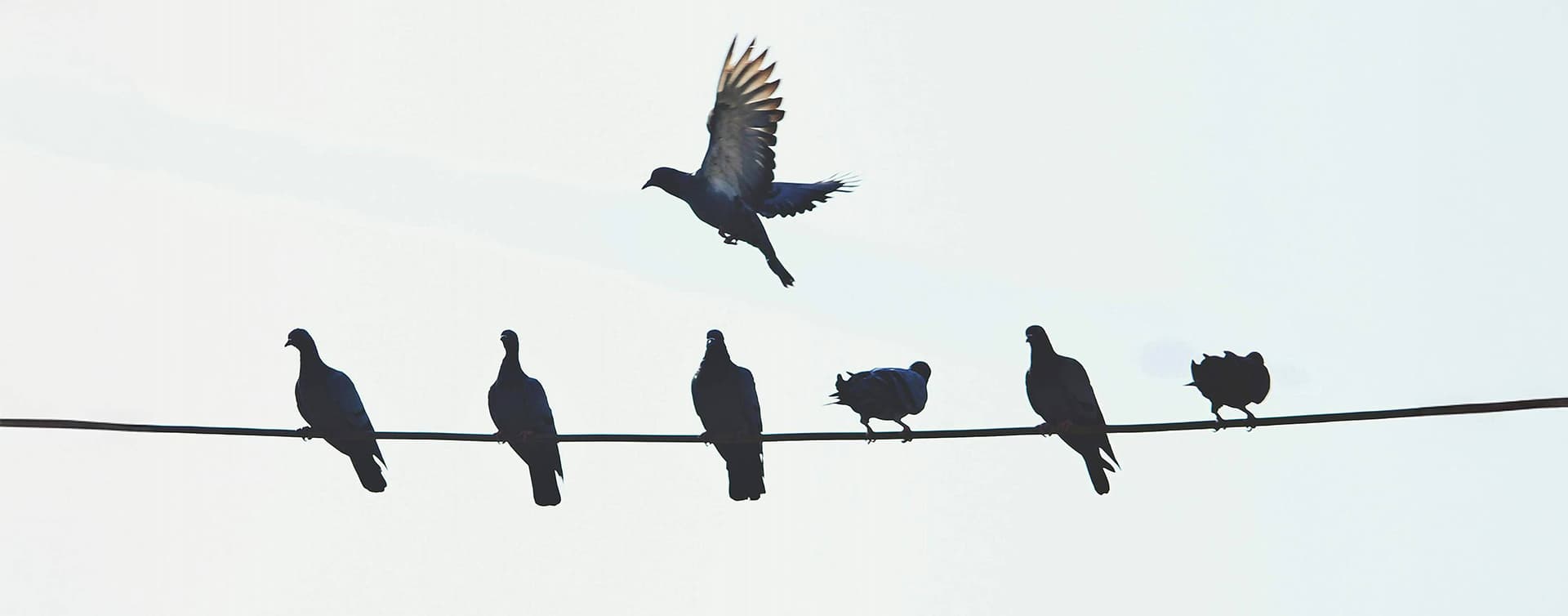 Abstract image used to represent Understanding the Composition API in Vue 3