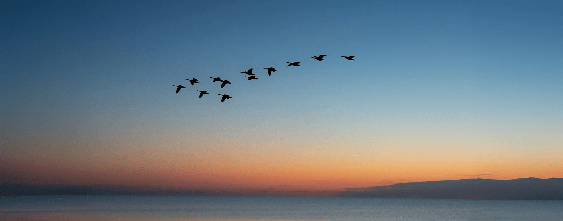 Abstract image used to represent WordPress to Next.js Migration Checklist