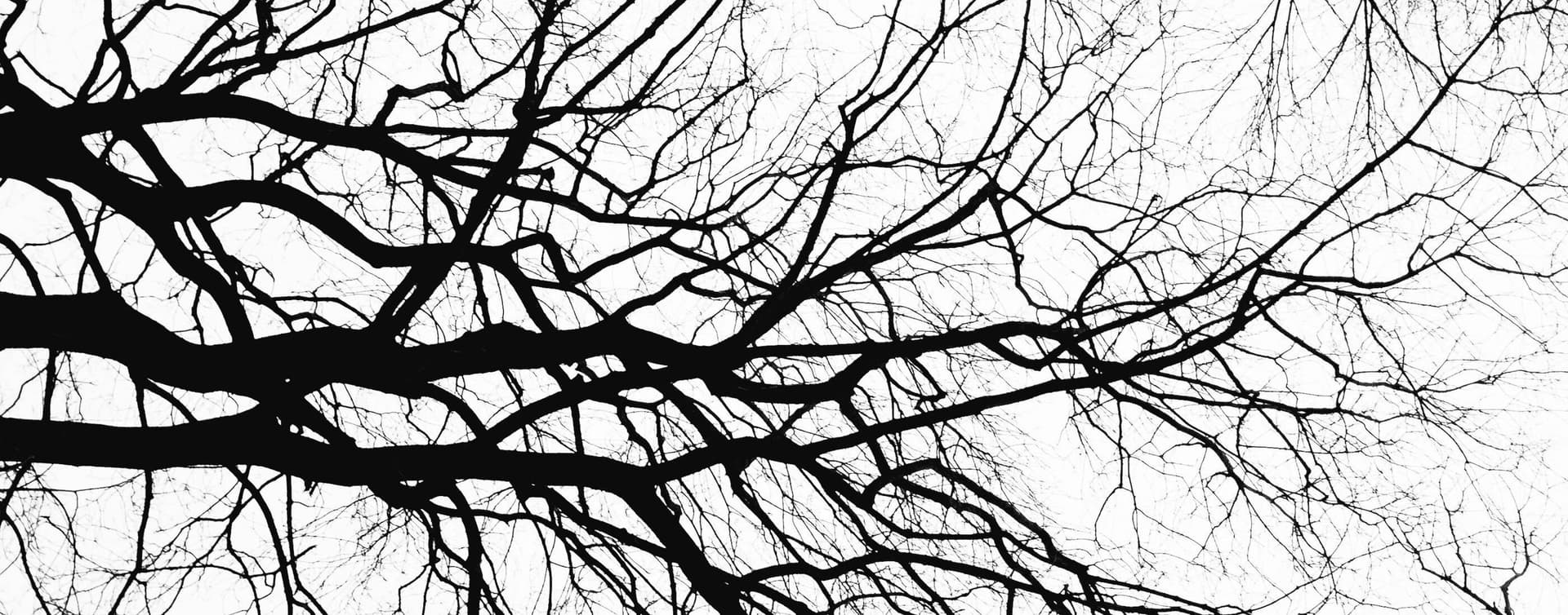Abstract image used to represent Binary Tree Level Order Traversal with BFS
